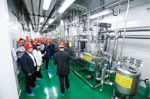 連續(xù)賦能，技術(shù)變現(xiàn) 連續(xù)流技術(shù)推廣現(xiàn)場會在敦化成功召開